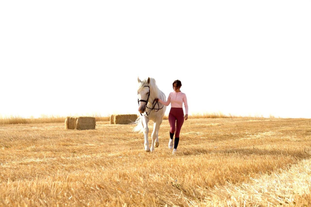Pensjonat La Jara Casa Rural Hinojosa del Duque Zewnętrze zdjęcie